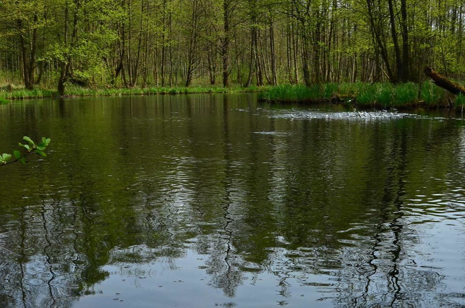 Фермерские дома Gospodarstwo nad jeziorem Załom-27